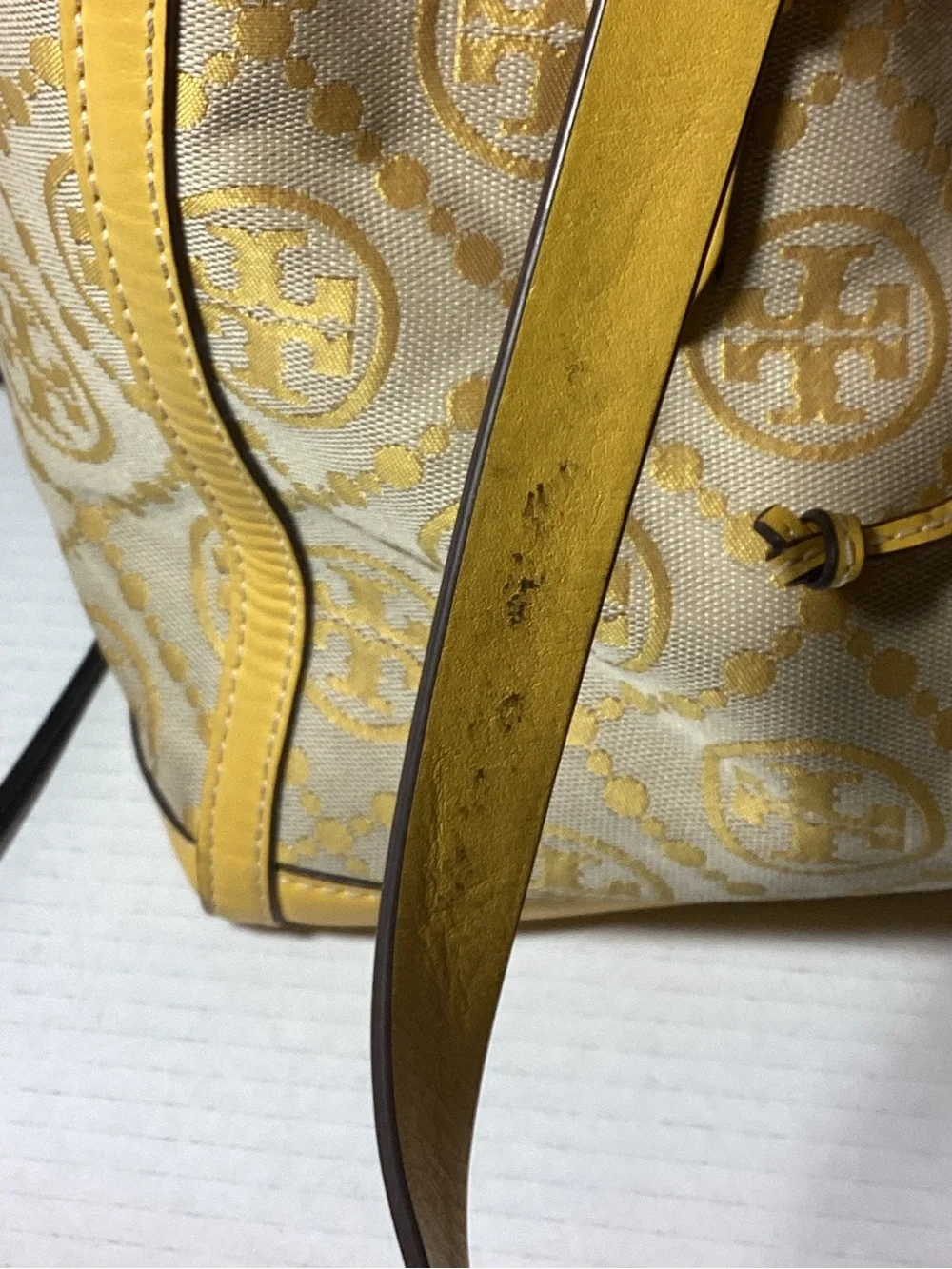 Tory Burch Tote Bag - Picture 6 of 16
